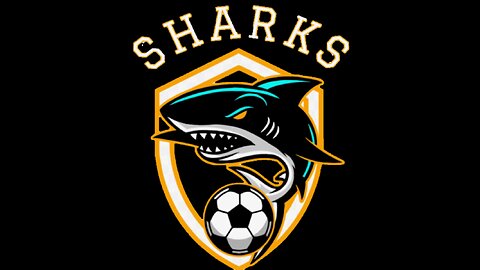 GAME04: Sharks vs Shooting Stars