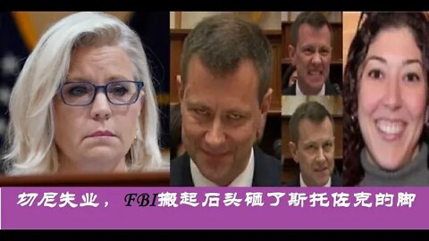 利兹切尼失业，FBI搬起石头砸了斯托佐克的脚 - 20220817