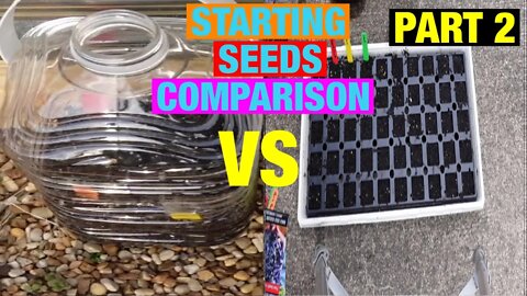 Starting seeds comparison part 2! Comparison video winter sowing method and starting seeds inside.