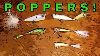 Poppers - The round up of my favorite topwater bass lure!