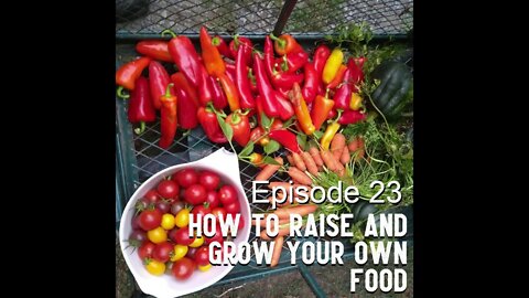 S1E23 How To Raise and Grown YOUR Own Food Homestead Preparedness Pt3 BONUS EPISODE