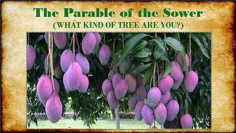 THE PARABLE OF THE SOWER (What Kind of Tree are You?)