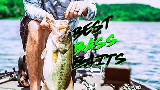 MOST Valuable Baits of 2019???