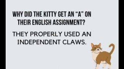 Cat Jokes For When You’re Just Kitten Around | #cat