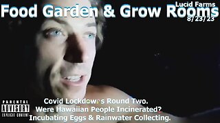 Covid Round Two. Hawaiians Incinerated? Incubating & Rain Collect. 8/23/23 Food Garden & Grow Rooms.