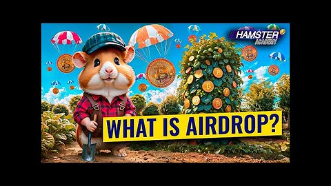 From Zero to Crypto Hero: Mastering Airdrop Farming with Hamster Academy⚡️🐹