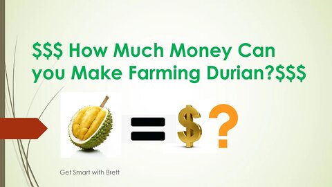 How Much Money $$$ in Durian Farming??? (A LOT)
