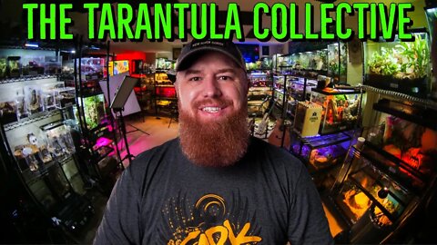 The Tarantula Collective 2022 Channel Trailer!