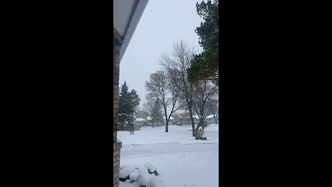 Snow in Winnipeg