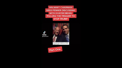 Bombshell audio Hunter Biden & Greg Penner Chairman of Walmart Pt 1