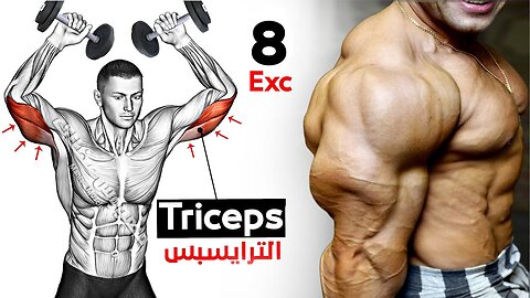 How To Build Your Triceps workout Fast (8 Effective Exercises) please follow