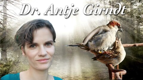 Kompliment Spatzenhirn - Dr. Antje Girndt