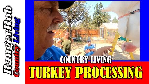 Turkey Processing & Homestead Chores