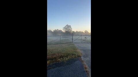 Morning fog at the airport