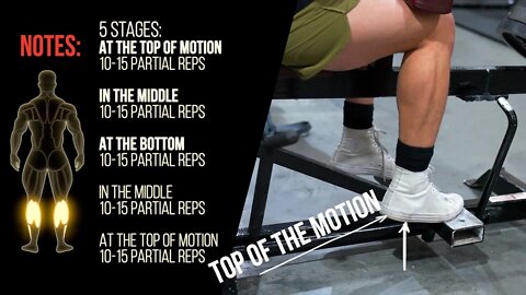 Seated Calf Extension Partial Series