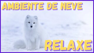 ♦ Ambientação de neve para relaxar imediatamente! Durma, medite, estude, relaxe!