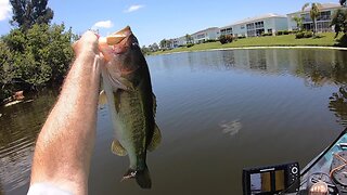 Bass Fishing in the SW Florida Heat.