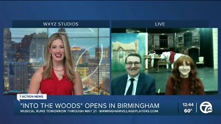 "Into the Woods" opens in Birmingham