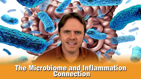 The Microbiome and Inflammation Connection!