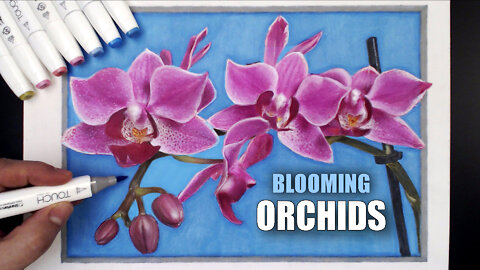 Orchid blooming speed drawing! Love greeting card design