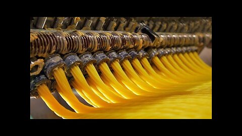Amazing dry pasta making process with fully automated production line