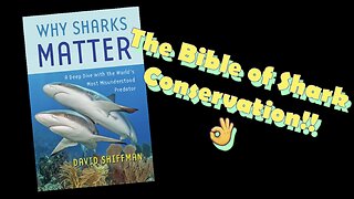 Why Sharks Matter Book Review