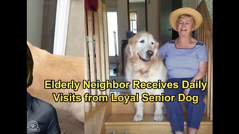 👴💕 Heartwarming Story: Elderly Neighbour Receives Daily Visits from Loyal Friend 🐶