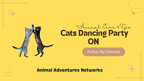 Cats Dancing party