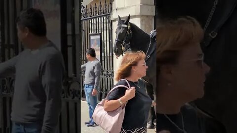 horse pokes tongue out #horseguardsparade