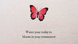 Butterfly🦋Quotes🌸