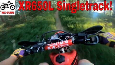 I take the XR650L to my SINGLETRACK ! | Test Ride Part 2 !