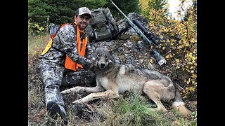 Public Land Wolf Hunting 8