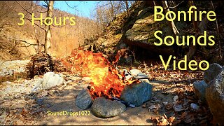 3-Hour Bonfire Escape | Nature Sounds and Crackling Campfire