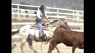 a boy and his pony