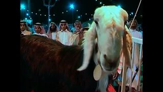 Goat Beauty Pageant