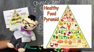 Learn about Healthy Eating with Chumsky Bear | Nutrition | Food Pyramid | Educational videos 4 kids
