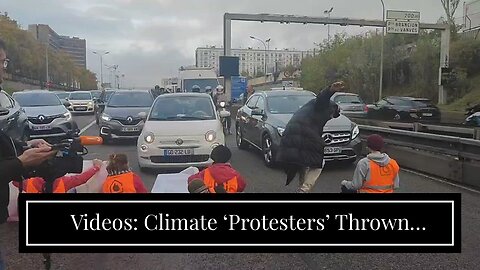 Videos: Climate ‘Protesters’ Thrown Around Like Rag Dolls By Angry French Motorists