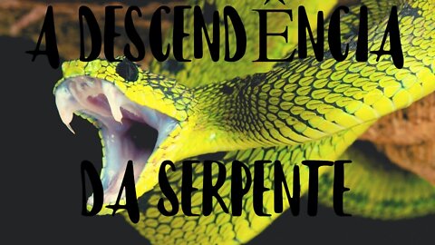 🐍 THE DESCENDANT OF THE SERPENT, LEAVE YOUR MESSAGE FOR THE FUTURE OF THE WORLD!