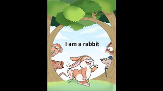 I am a rabbit