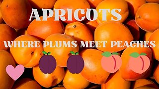 Apricots - Where Plums Meet Peaches