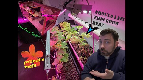 The Indoor Farmer Ep #32, With Jeremy & Waylon. More And More To Do, Cucumbers, Peppers, & Spuds