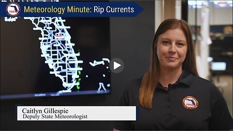 FDEM Meteorology Minute - Rip Currents