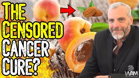 THE CENSORED CANCER CURE? - The Shocking Truth About Apricot Seeds! - From Cyanide To Amygdalin