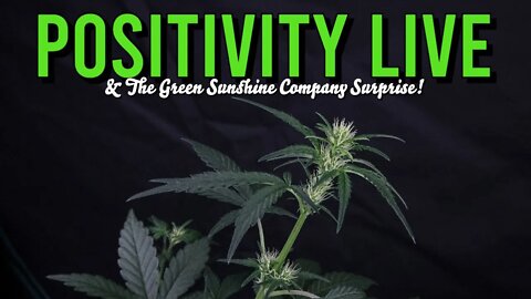 Grow off SURPRISE with The Green Sunshine Company