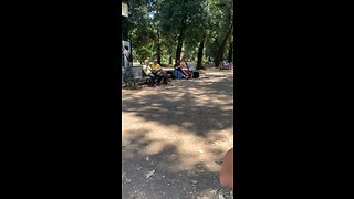 Villa Borghese Rome 2019