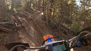 True singletrack ride on Beta 300