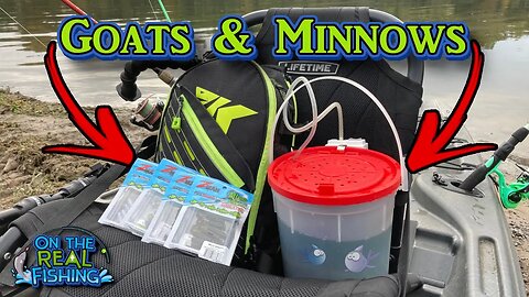 Kayak Fishing for Fall Crappie with the Z-Man Mini Goat and Live Minnows