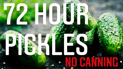 EASY PICKLE RECIPE! NO CANNING, NO SPECIAL TOOLS | Gardening in Canada 🇨🇦