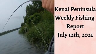 Kenai Peninsula Weekly Fishing Report | July 12th, 2021