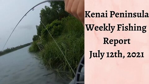 Kenai Peninsula Weekly Fishing Report | July 12th, 2021